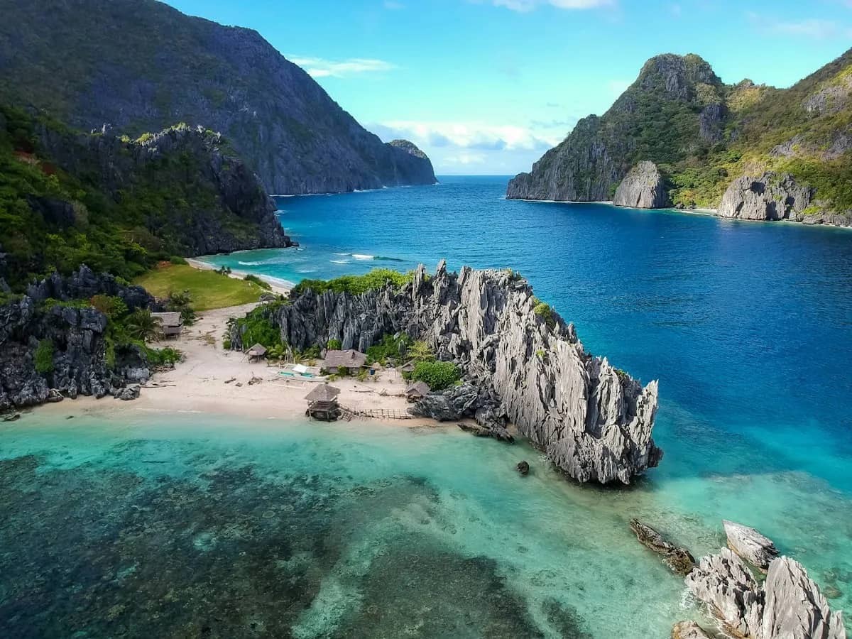 リンガエン湾の砂浜とヤシの木
