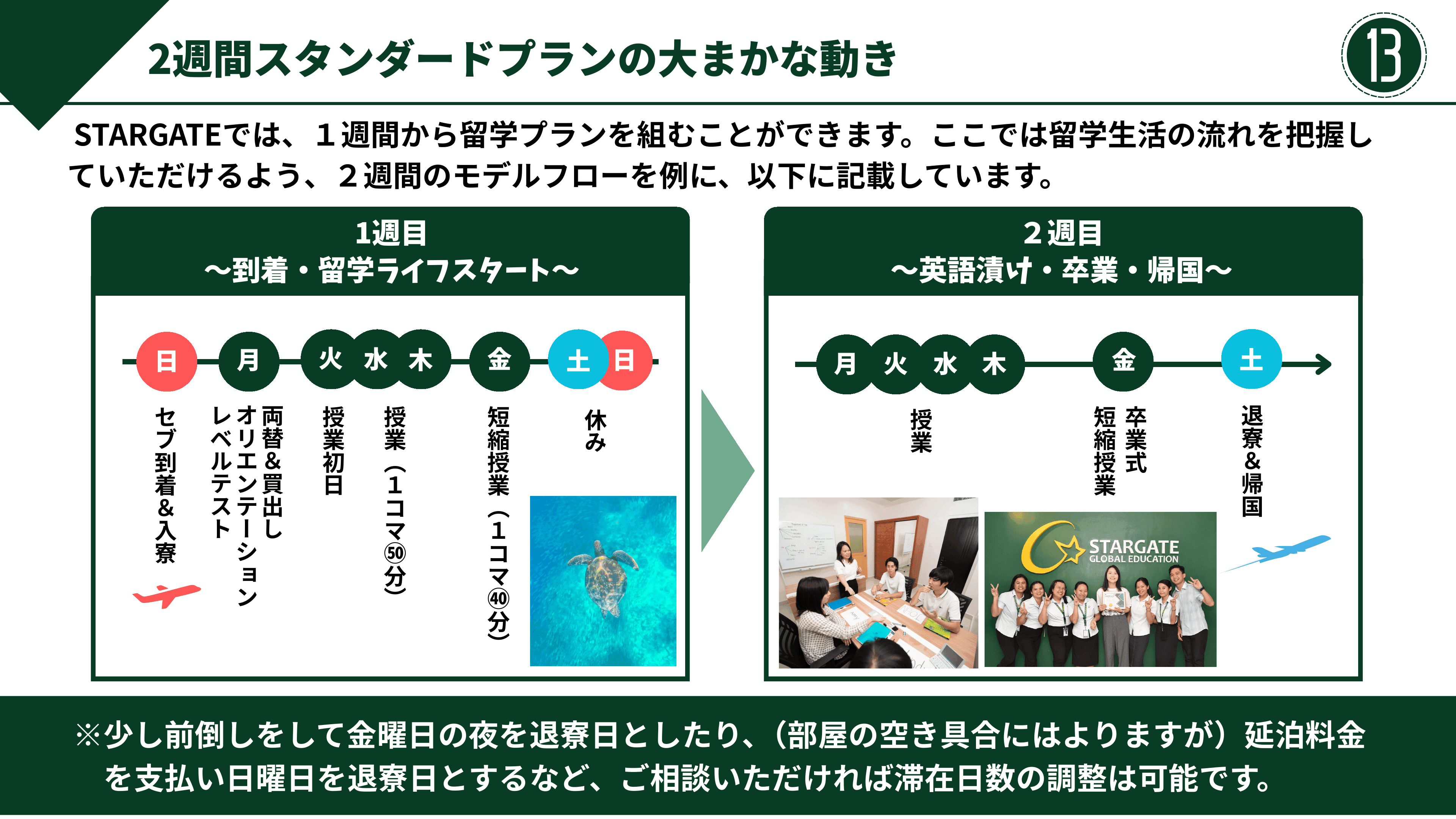 資料 ページ 13