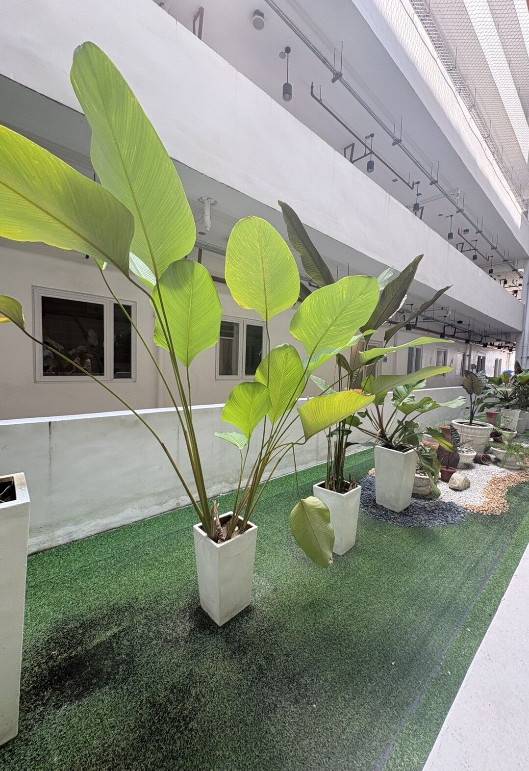 Japanese-affiliated university campus 3