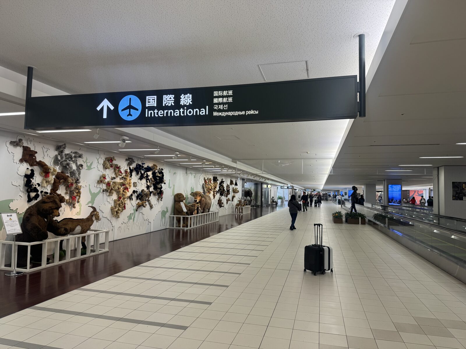 Inside the international terminal at New Chitose Airport